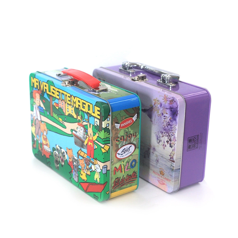 Small Rectangular Hinged Lid Metal Stationery Cosmetics Tin Case Beautiful Lunch Tin Box with Handle for Children