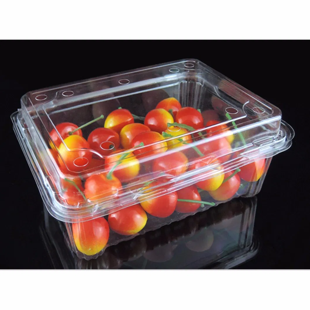 Healthy Clear Disposable Plastic Fruit Vegetable Food Box for Supermarket (PET container)